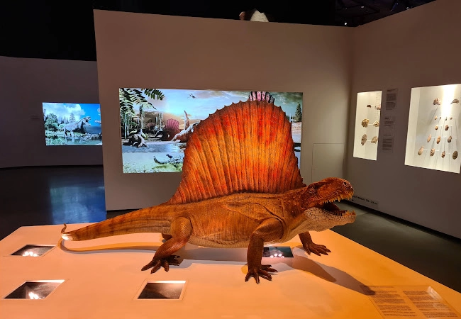 Houston Museum of Natural Science