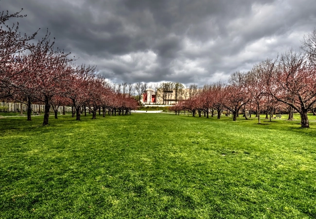 Brooklyn Botanic Garden