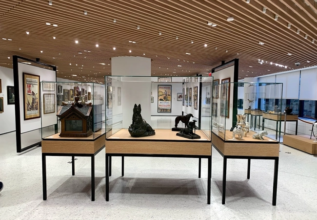  The American Kennel Club (AKC) Museum of the Dog