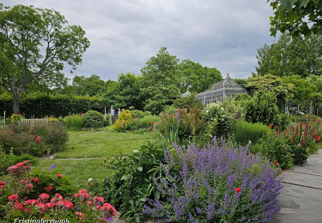 Snug  Harbor Cultural Center & Botanical Garden